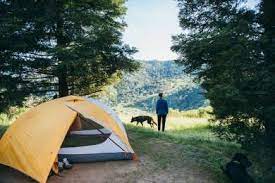The Best Camping Near Sonoma California With Pets Hiking Trip Camping Near Me Nature Preserve