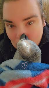 Curious..... she's started looking at me upside down.....is this a war call  or a decloration of love????????