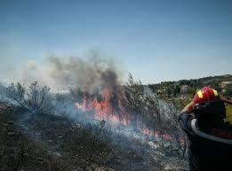 Ανεξέλεγκτη μαίνεται η πυρκαγιά που εκδηλώθηκε νωρίτερα στη λίμνη ευβοίας. Ihmne8au40ulhm