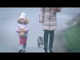 Takla Atan Kedi Somersaulting Cat Youtube 2020 Kedi Eglence Ayi
