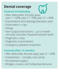It's unfortunate because when this work isn't completed, it could result in pain, suffering and tooth loss. Affordable Secondary Dental Insurance My Family Life Insurance