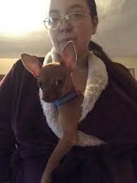 I challenge Tucker!! When you wanna roll El Rey!?