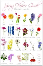 Spring Wedding Flower Guide The Bride Link Wedding Flower Guide Spring Wedding Flowers Flower Guide