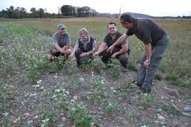 Tatjana aus bauer sucht frau: Revierbegleitersystem Offizielle Website