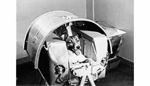 Résultat de recherche d'images pour "LAÏKA"