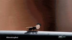 Play on hover auto play. Kim Jong Un Gif Find On Gifer