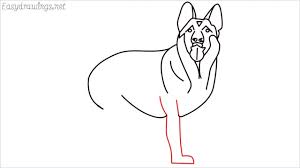 This video shows another way how to draw a german shepherd dog, known in britain as an alsatian dog. How To Draw A German Shepherd Step By Step 19 Easy Phase