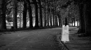 | apparitions fantomatiques revenues hanter les lieux de leurs morts, les dames blanches sont connues depuis des siècles. Quelques Histoires De Dame Blanche Papillon Communication Fr