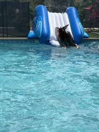 The 5 separate air chambers add for extra safety and durability safe: Intex Pool Water Slide Walmart Com Walmart Com