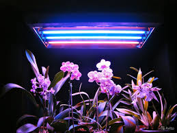 So to answer the question. The Essentials Of Installing Greenhouse Lighting Climapod Articles Fluorescent Light Fixture Led Grow Lights Fluorescent Light
