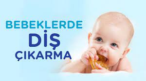 bebeklerde dis cikarma doneminde ne yapmali nelere dikkat edilmeli ilk adimlarim youtube
