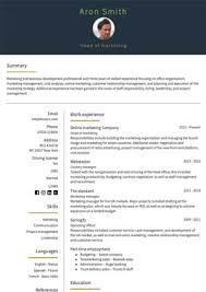 Tailoring your cv for each individual role you put in. 2021 Professional Cv Templates Free Download