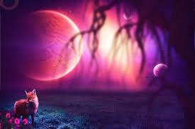 Full moon blood red with howling wolf black night sky for halloween or desert. Cute Galaxy Wolf Wallpapers Top Free Cute Galaxy Wolf Backgrounds Wallpaperaccess Fox Background Wolf Background Profile Picture