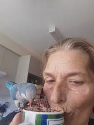 What is the origin of the wild bird with a blue band around its leg in Blue  Mountains?