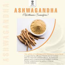 Image result for Withania somnifera