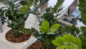 Check spelling or type a new query. Bloomin Beautiful Flowers Artificial Plants Bloomin Beautiful Flowers