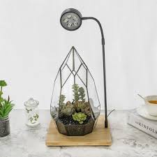 Ncyp Tabletop Board Led Succulents Grow Light Display Indoor Terrarium For Succulents Moss Ncypgarden