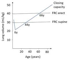 Image result for Functional Residual Capacity