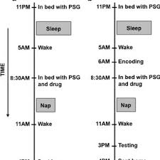 Drug Effects On Minutes In Each Sleep Stage And Spindle Density A Download Scientific Diagram