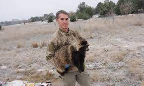 › how radioactive is chernobyl today. After A Nuclear Disaster Then What A Surprising Look At The Animals Of Chernobyl And Fukushima
