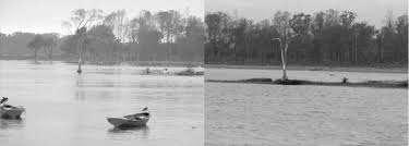 Information and translations of orrego in the most comprehensive dictionary definitions resource on the web. Figura NÂº 16 Inundacion De Un Arbol En El Borde W De La Isla Orrego Download Scientific Diagram