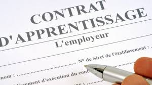 We did not find results for: Contrat D Apprentissage Comment Fixer Le Niveau De Prise En Charge Alternance Professionnelle