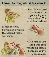 The Reason Dog Whistles Are Silent Says More About Your Hearing Than Your Dog S Barkpost