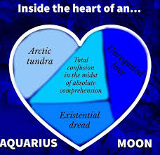 Aquarius Moon Aquarius Aquarius Zodiac Birth Month Meanings