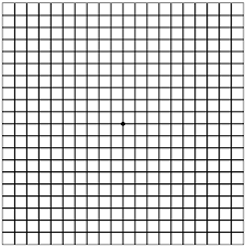 Amsler Grid Prevent Blindness Texas