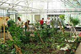 Photos, address, and phone number, opening hours, photos, and user reviews on yandex.maps. Lehrgangsinhalte Garten Und Landschaftsbau Gartenbauzentren Der Landwirtschaftskammer Nrw