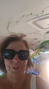 Thanks to everybody who's supports, Betty's Blessed Bus Join us Saturday at  Piazza's Bakery from 11 to 3pm This year I would like to Stuff The Bus in  honor of Betty Brooks