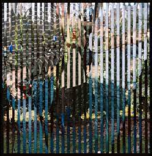 She competed in the women's 5000 metres at the 1996 summer olympics. Mind Bending Vertical Strips Of Alternating Images
