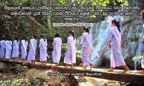 දමියගෙ ජෝක් පිටුව damiyage joke pituwa. E Book Do Good Purify Mind Attain Eternal Bliss Kushinara Nibbana Bhumi Pagoda Plant Raw Vegan Broccoli Peppers Cucumbers Carrots Beans Vegetables Dwarf Fruit Trees