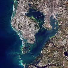 Find and buy tickets to all games. Tampa Bay Wikipedia