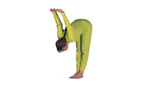 Check spelling or type a new query. Asanas And Exercises To Improve Blood Supply To The Head