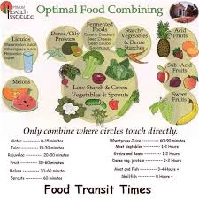 Food Transit Time And Food Combining For Optimal Digestion