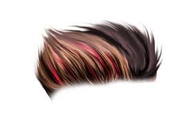 100 Hair Png Download 2020 Hair Png Zip File Cb Editz In 2020 Hair Png Photoshop Editing Photoshop Digital Background