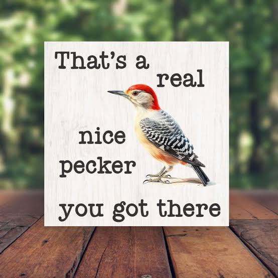 That's A Real Nice Pecker You Got There Funny Woodpecker Bir