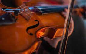 Dz strad's meastro violin comes in a wide range of sizes. Best Professional Violins 2021 Buyer S Guide Into Strings