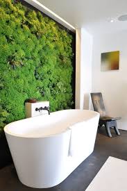 Zimmerpflanzen Deko Badezimmer Vertikaler Garten Badewanne Weiss Badezimmerpflanzen Badezimmer Und Tolle Badezimmer