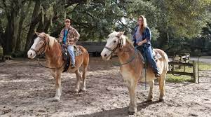 Cactus jack will start off the fight by shooting needles at croc. Florida Horseback Trail Riding