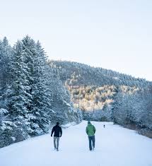 Your blue mountains ridge snow stock images are ready. Winter Hiking On The Blue Ridge Parkway Visit Nc Smokies