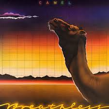 Amazon's choice for camel i can see your house from here. Vsx3hprxppptom