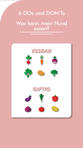 6 Dos Und Dont S Das Darf Dein Hund Fressen Infografik Giftige Pflanzen Hund Essen Giftig Fur Hunde