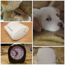 A dog will not howl if you beat him with a bone. Diy Heartbeat Pillow For Puppies Kittens And Babies Burnt Apple