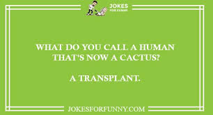Only the best funny cactus jokes and best cactus websites as selected and voted by visitors of joke buddha website. Best Cactus Jokes To Read Collection Of Funny Cactus Puns