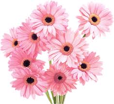 Download Flowers Pink Tumblr Vaporwave Aesthetic Clip Freeuse Vaporwave Flower Aesthetic Png Full Size Png Image Pngkit Aesthetic grunge, pink petaled flowers transparent background png clipart. vaporwave flower aesthetic png