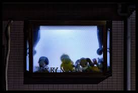 Wade Comer (@wadecomerphoto) • Instagram photos and videos