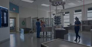 The businesses listed also serve surrounding cities and neighborhoods including olympia wa, lacey wa, and spanaway wa. After Hours Veterinarian Mason Dixon Emergency Pet Hospital