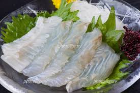 高級ヒラメをお刺身で!カット済みなので解凍したら盛り付けるだけでお召し上がりいただけます!。平目お刺身用パック 100g（2人前目安）ヒラメ 青森県産 津軽海峡 ひらめ 刺身 カット済み お刺身 カルパッチョ しゃぶしゃぶ でも美味しい! å¹³ç›®ã®åˆºèº« å†™çœŸç´ æ 5340081 ãƒ•ã‚©ãƒˆãƒ©ã‚¤ãƒ–ãƒ©ãƒªãƒ¼ Photolibrary